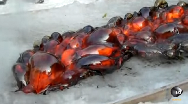 lava
