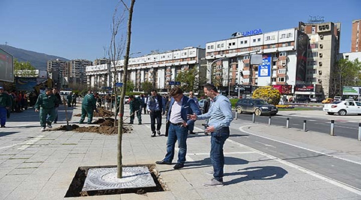 Sadenje drvja pred Makedonska posta (4)