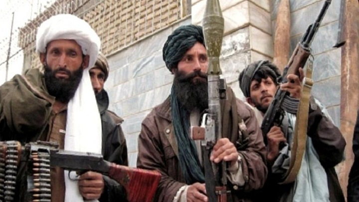talibanci