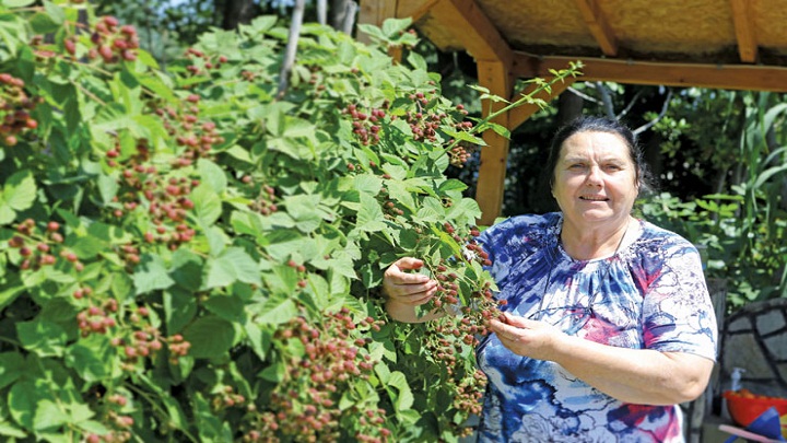 Baba-Rada-int97-1