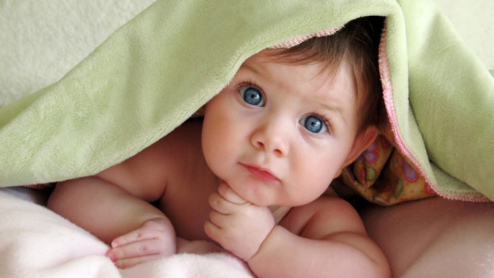 7.-kupljena-iStock_000003158746_Small-735x387
