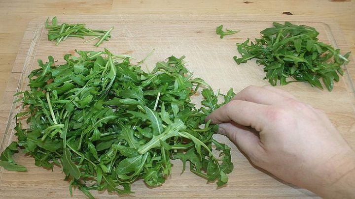 Рукола