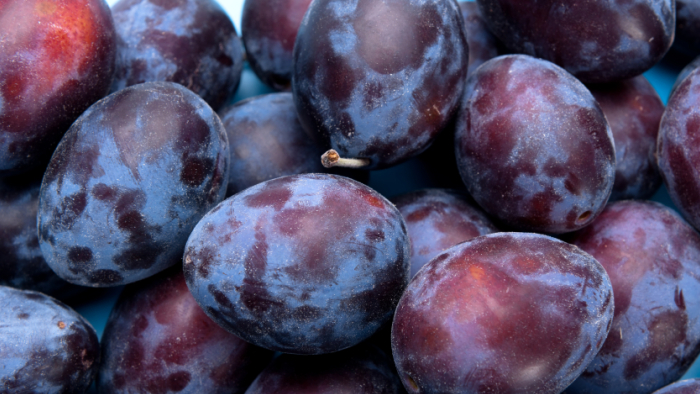 Fresh blue plum.