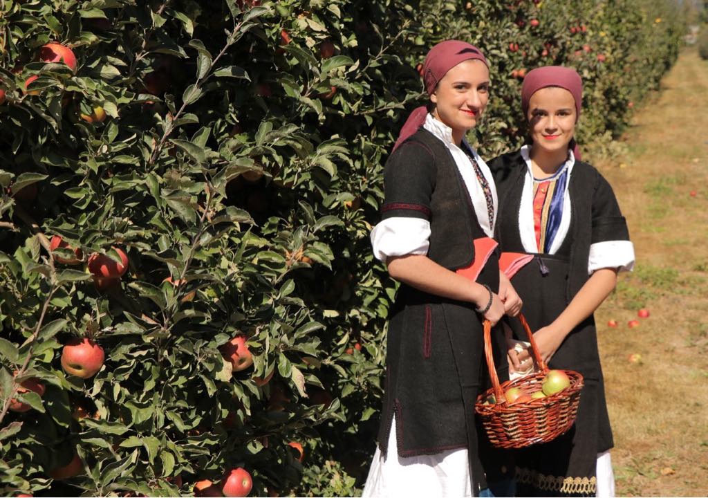 42583655_1006246742888428_917334512537436160_n