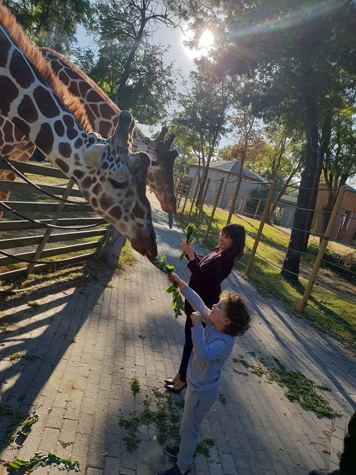 42779584_1121683617982233_7849262061556072448_n