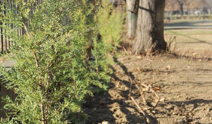 47682921_398430237364193_2772784333147078656_n