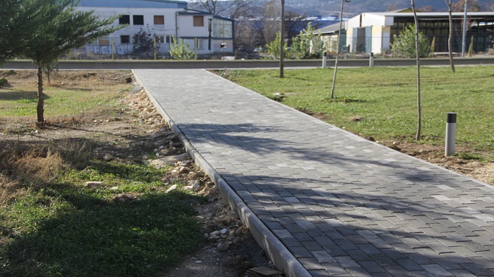 Pateki