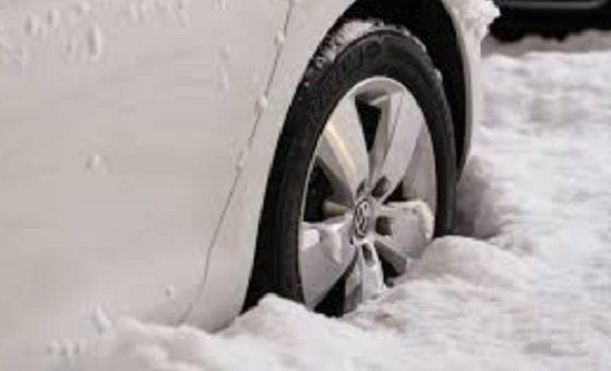 1737165_kola_ls-206163