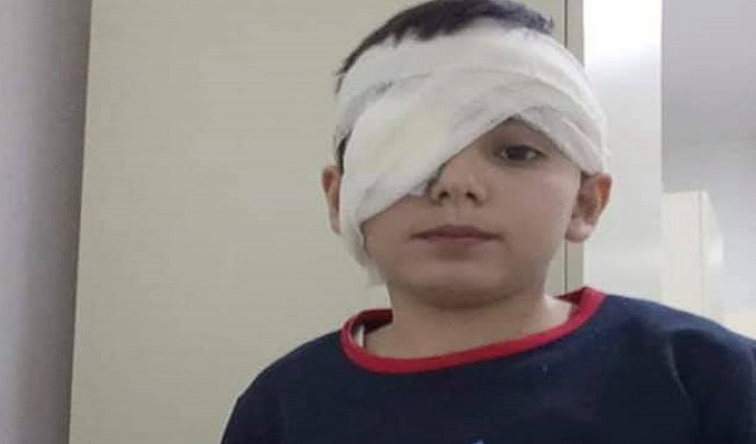 50648332_2561144550592528_8706431555519643648_n