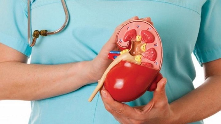 iStock_000017537833Small-960x460-e1518918899480-750x450