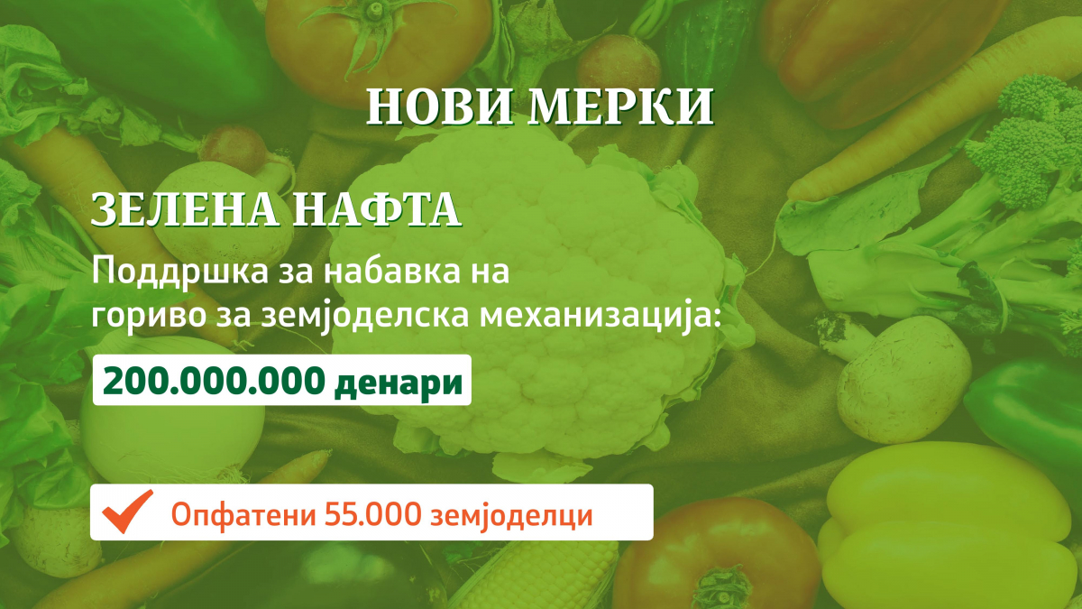 08022019_mzshv_prezentacija_2