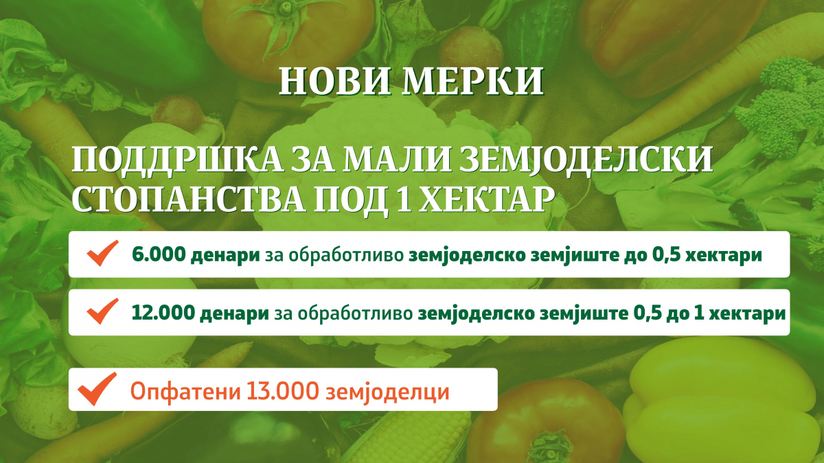 08022019_mzshv_prezentacija_3