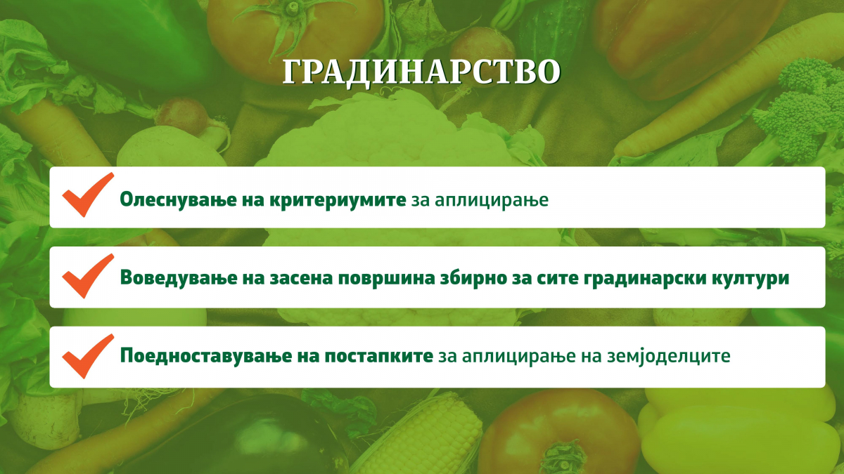 08022019_mzshv_prezentacija_5