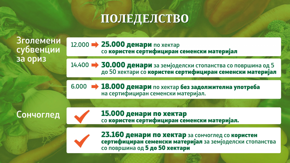 08022019_mzshv_prezentacija_6