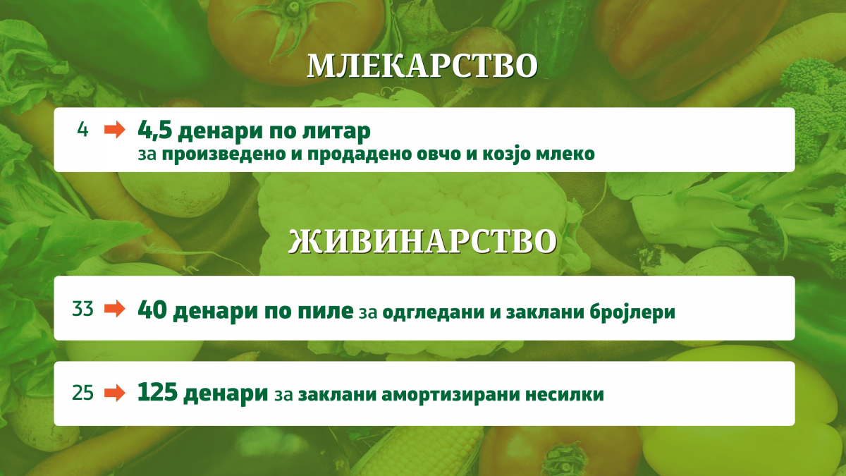 08022019_mzshv_prezentacija_7