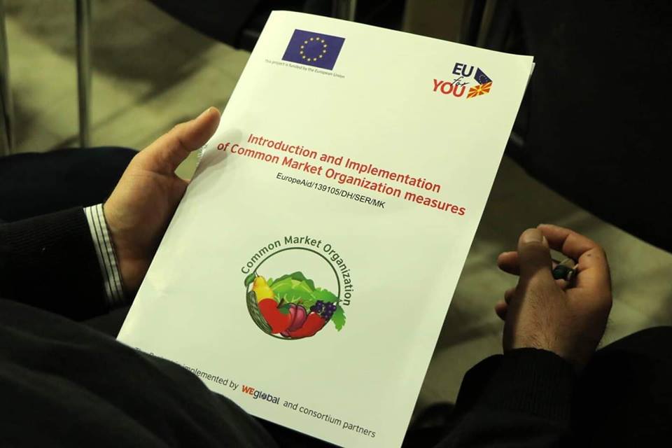 51505979_797867353912957_4360805725853712384_n