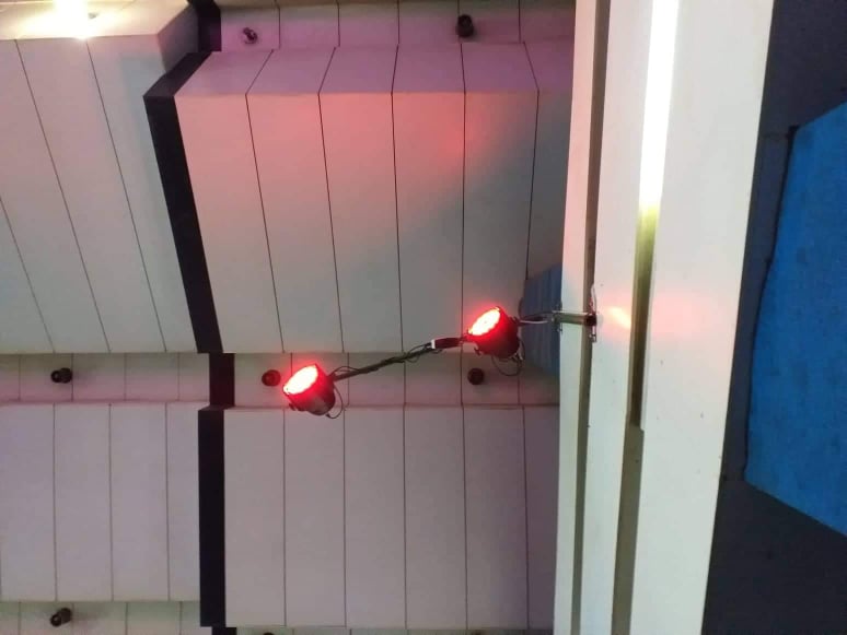 55845457_1124984771007276_1316010037130297344_n