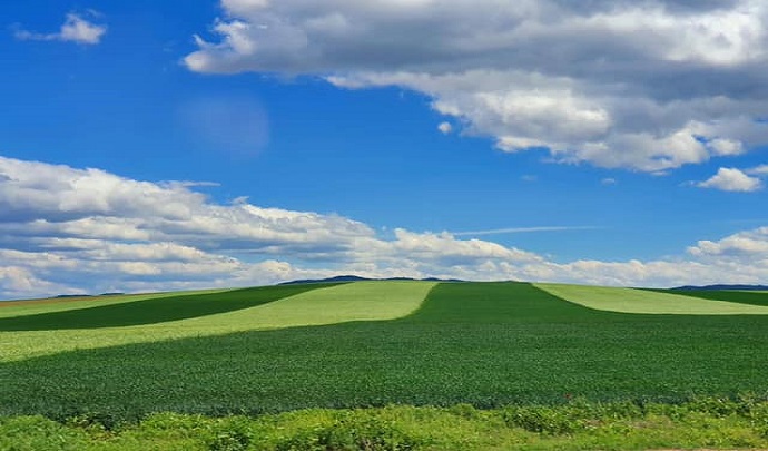 58950077_2397996000421925_7105439730946277376_n