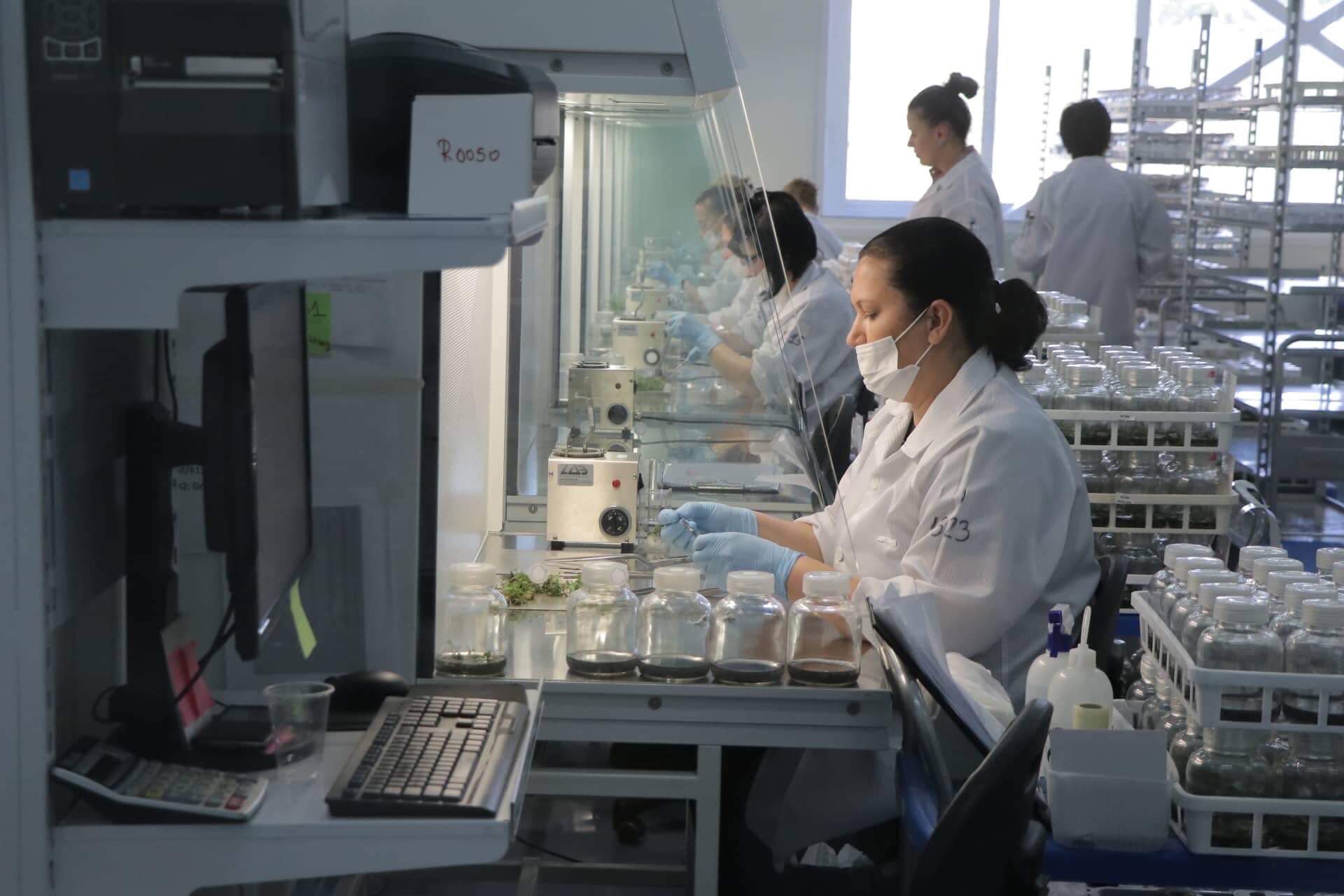 59022564_2398189663735892_433556654810726400_o