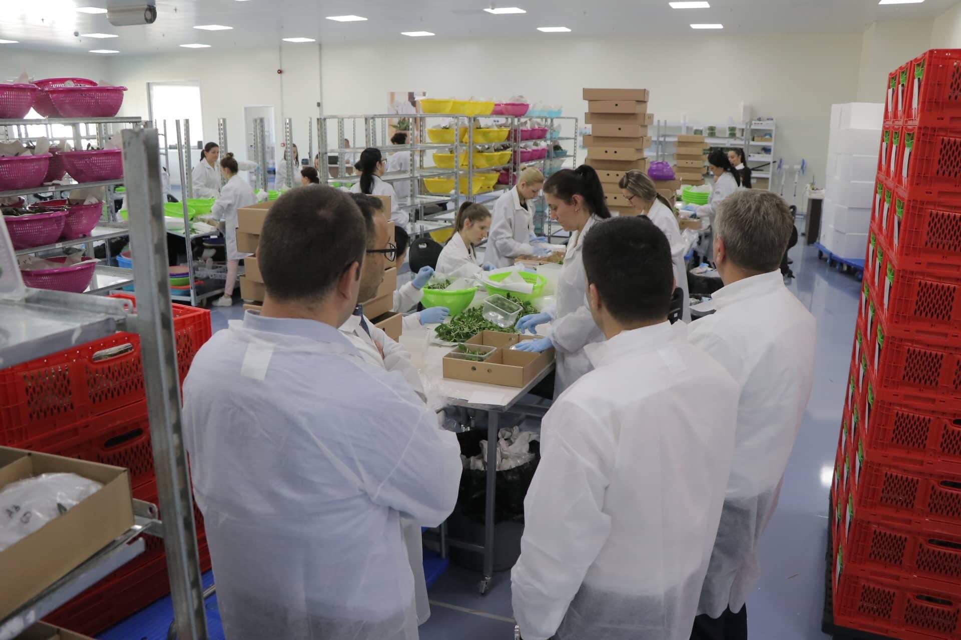 59718424_2398189567069235_4492925435344060416_o