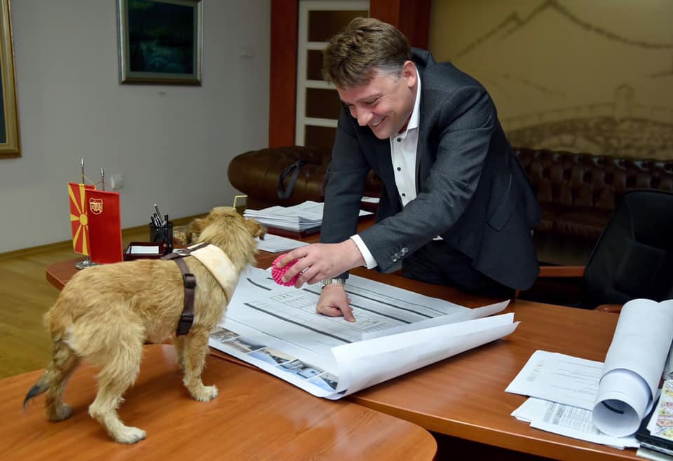 Silegov-si-igra-so-kuce