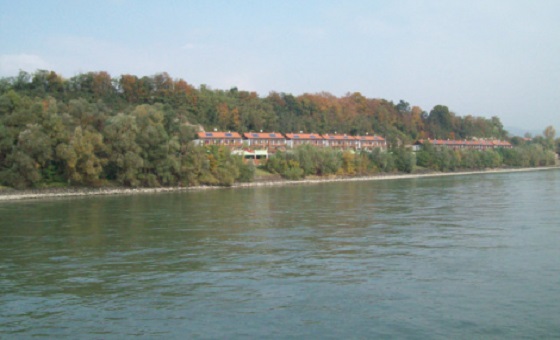 bogoevski-1