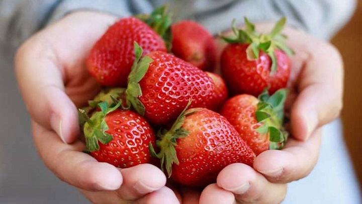 strawberries-1296x728-feature