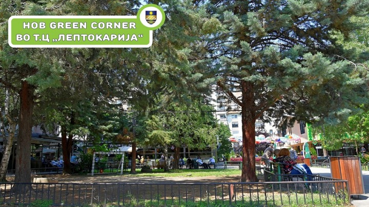 Green Corner 5