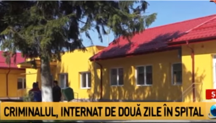 романиа психијатрија