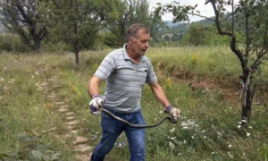 смок паланка