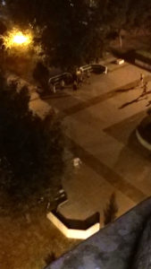 убиство ново лисиче