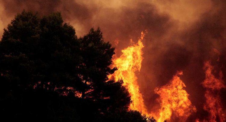 fire--2-thumb-large
