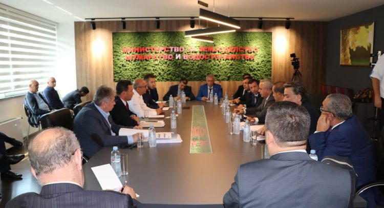 трајан мехет тинџ