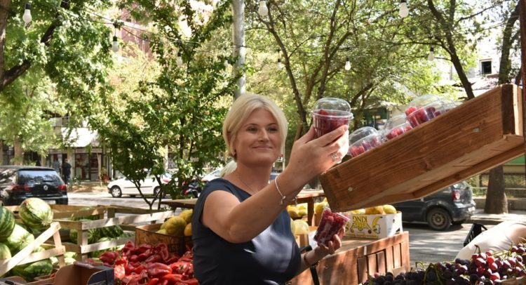 јовановска мој ддв