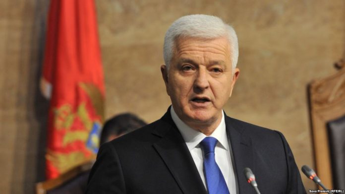 Душко Марковиќ