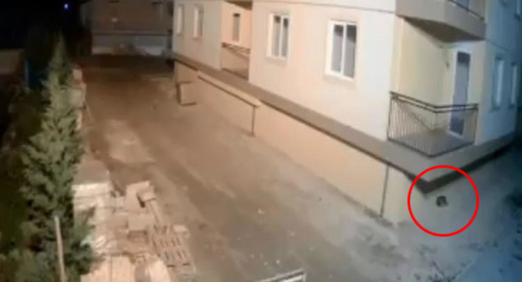 куче
