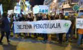 Zelena_1