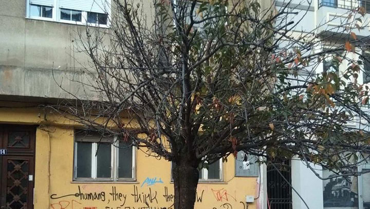 cresi1