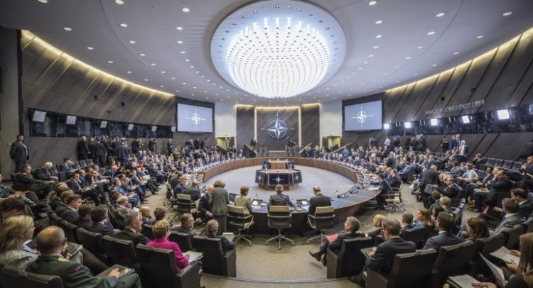 dimitrov nato