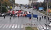 protest alb