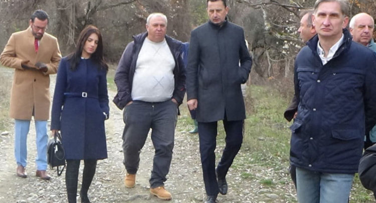 Мицевски