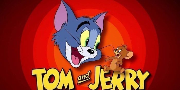 tom i dzeri