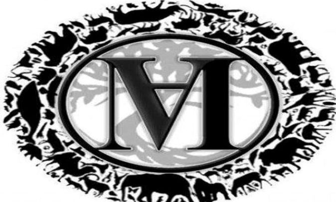 Anima mundi