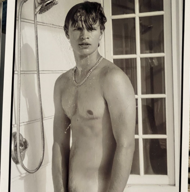 Ansel1