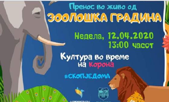 zoo