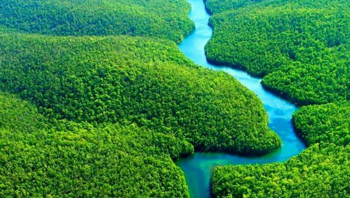 amazonska-prasuma-750x406