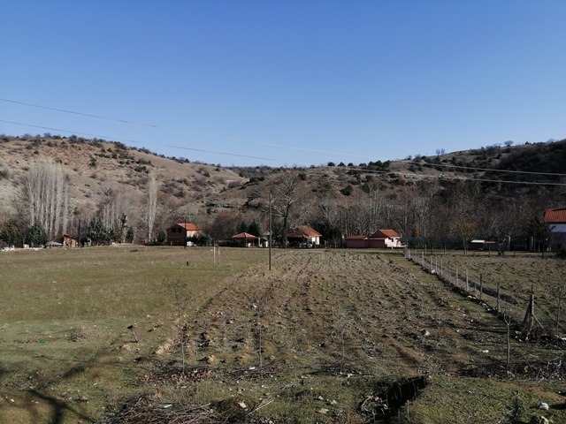 Peshti2
