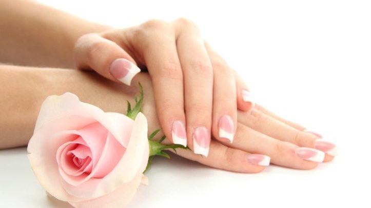 Beautiful woman hands with rose, isolated on white