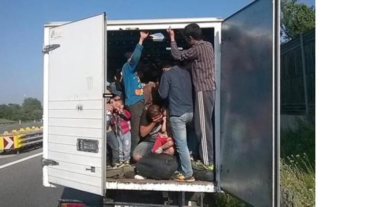 migranti