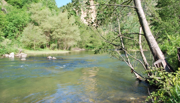 Bregalnica